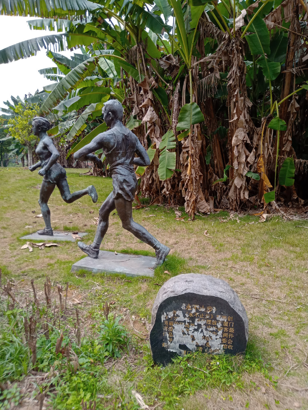 福州大学就像一座大公园，风景美到爆！最美的世界一流学科院校