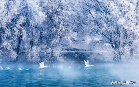 冬季情侣旅行地方推荐,情侣冬天适合去哪旅游