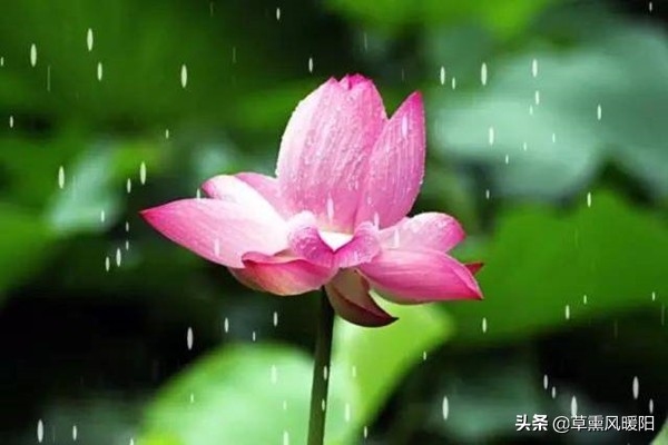 红尘浅遇，淡写陌上花开；回眸一笑，散了似水流年