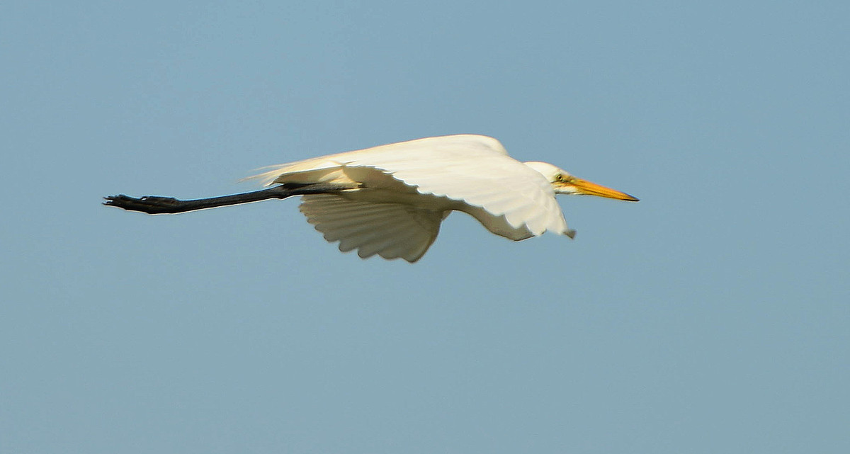 有关催婚的故事,催婚那些事完整版