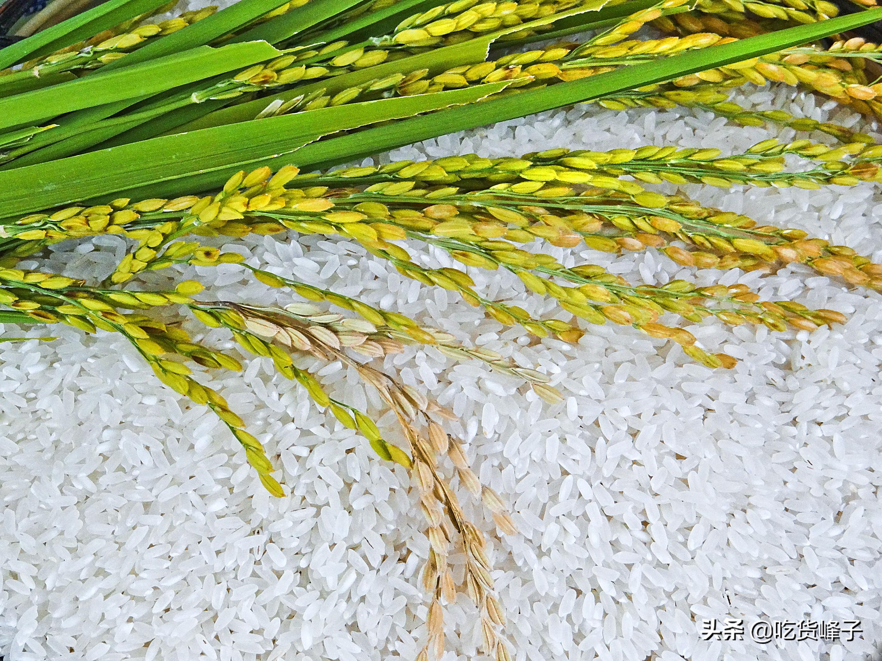 超市卖的大米哪种好吃,超市买大米买什么标准的好