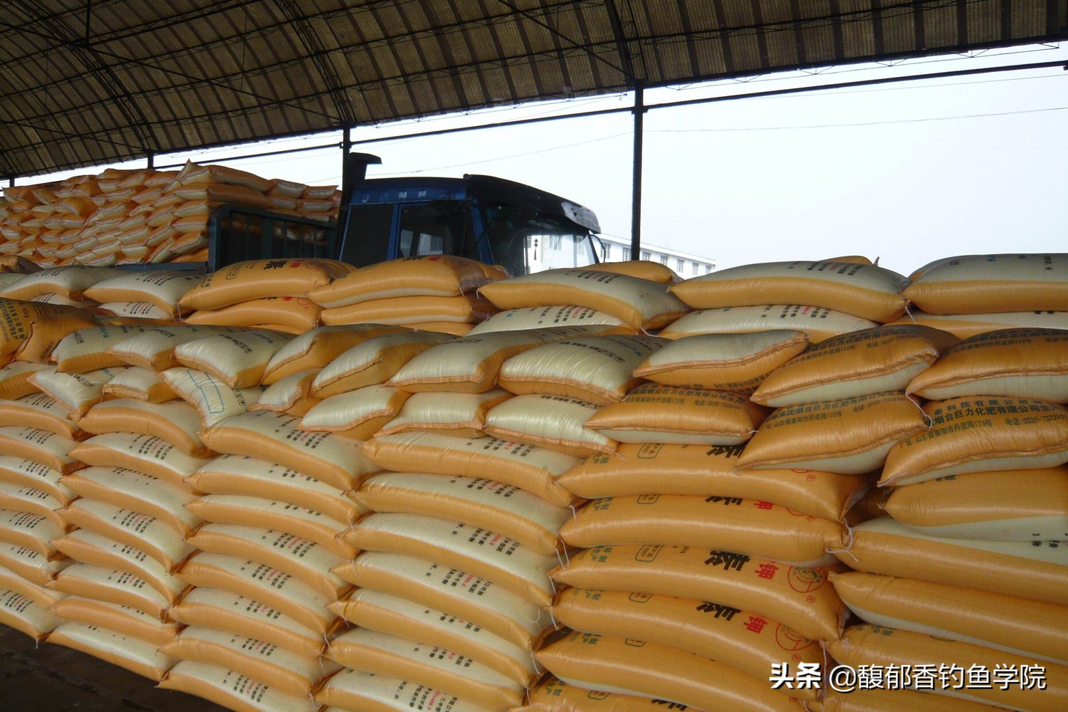 被撒化肥的黑坑怎么钓鱼？肥水黑坑怎么钓鱼？一招应对肥水黑坑