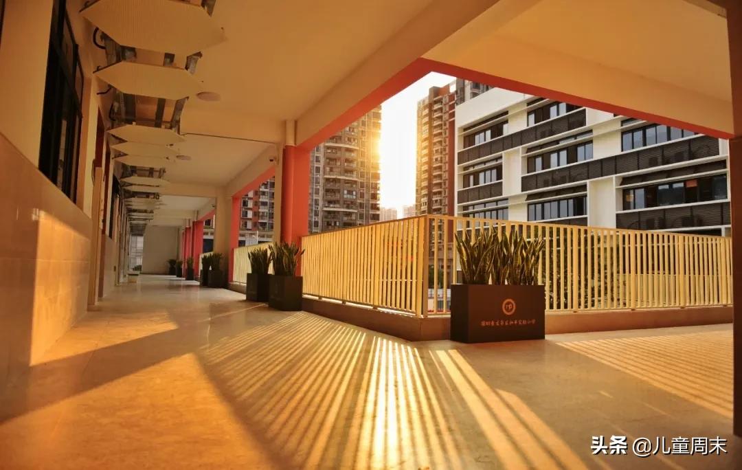 深圳龙华这所“未来学校”，是每个孩子都向往去读的学校