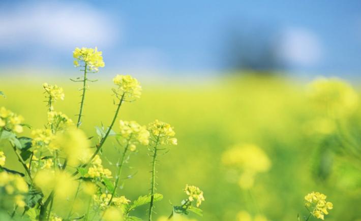 当你心情不好的时候去做一些事情,心情不好的时候就去做这5件事