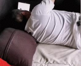 店老板养的猫咪,小卖部老板养了一只招财猫