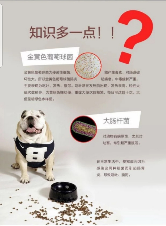 楼上养狗异味非常大怎么办,养狗狗怎么保持干净无异味