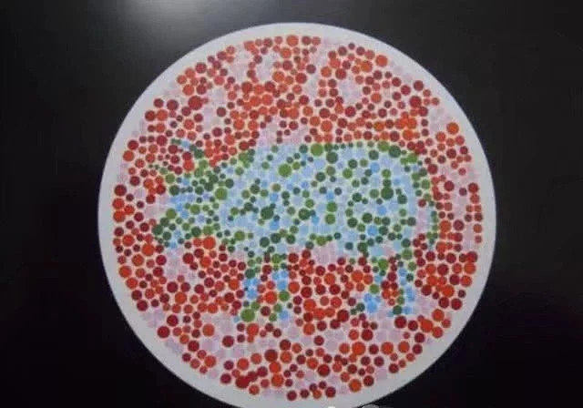 车管所盛行的三张色盲检测图，最后一张认不出，找教练也没用