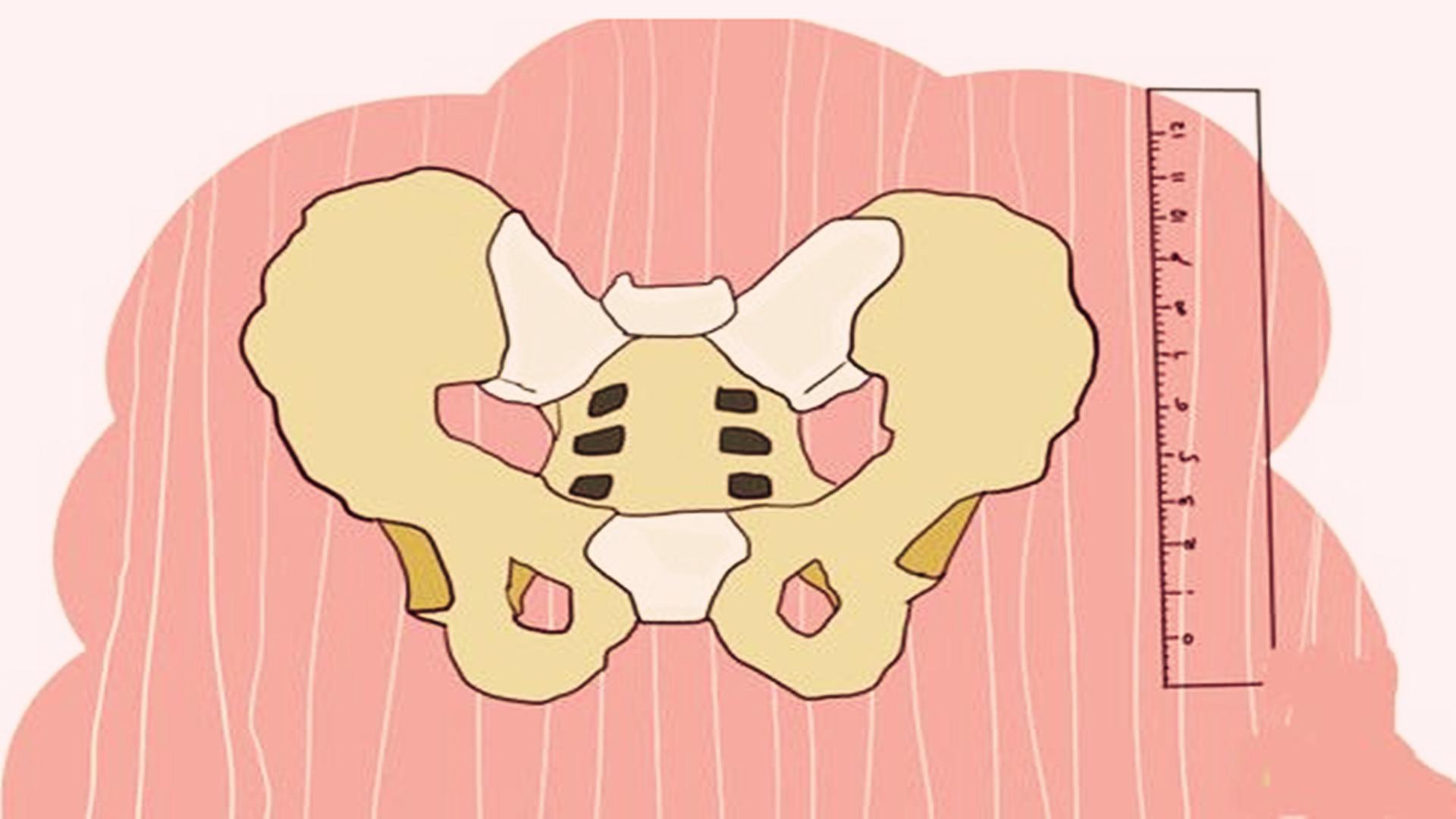 盆骨大的女人好看吗,盆骨大的女生有什么好处