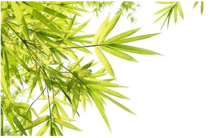 哪种竹子适合做文玩,竹子也能当武器