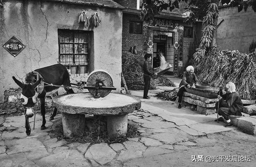 回忆过去珍惜现在展望未来,回忆过去珍惜现在的句子