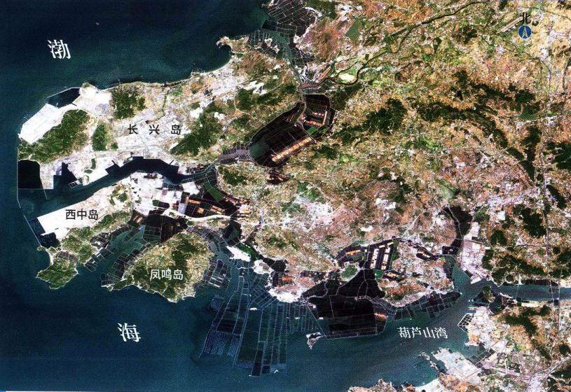 辽宁海边海鲜哪里好吃,辽宁海鲜哪最好