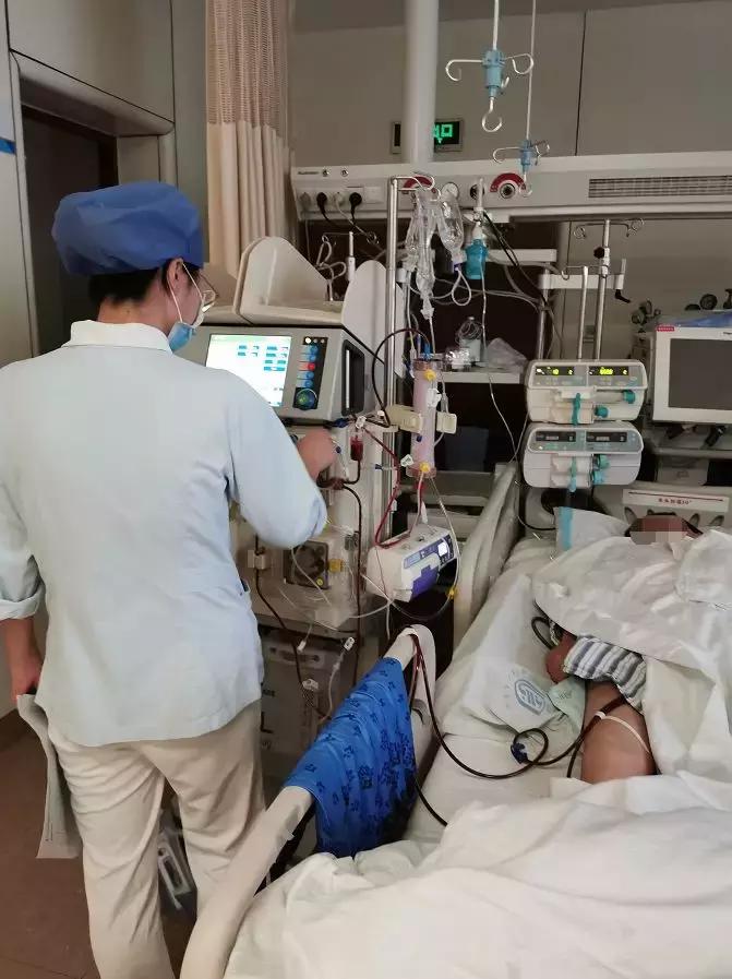 整吞河豚皮八旬老人险些丧命,生吞草鱼鱼胆