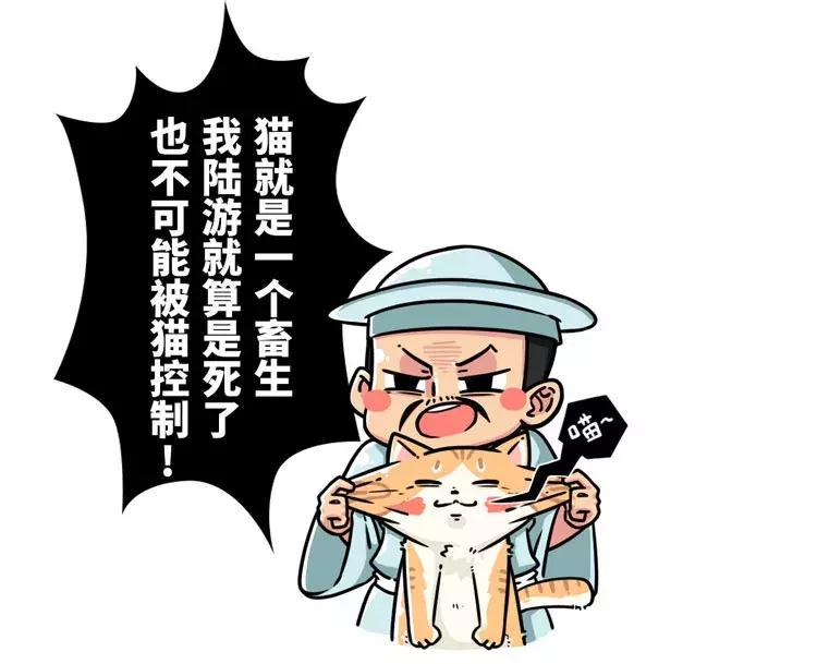 古代猫奴是什么意思,古代猫奴