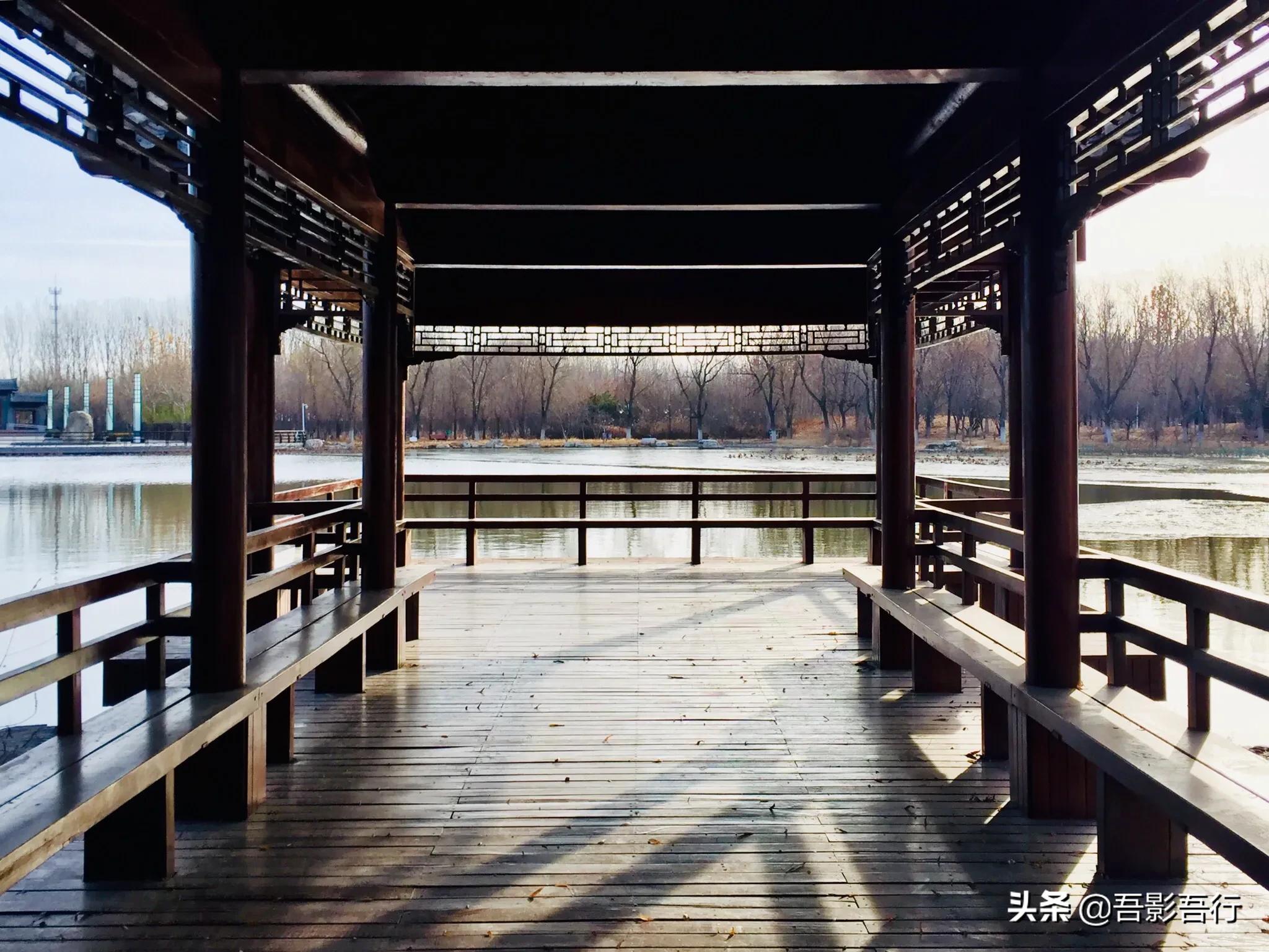 武清津北森林公园有哪些风景,天津武清森林公园开放时间表