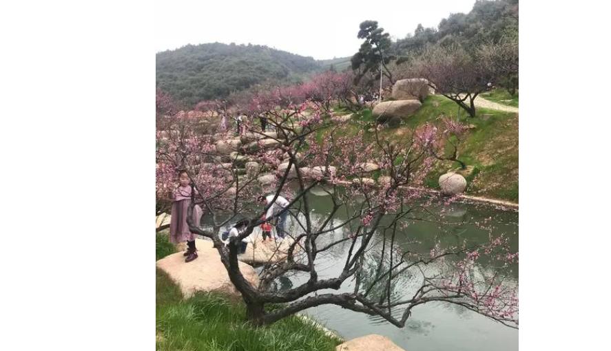 江浙长兴位于浙江省北部,这个江南小城适合养老