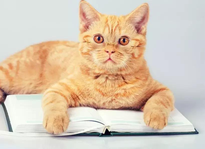 占人便宜的是啥心理,占人便宜是什么心态