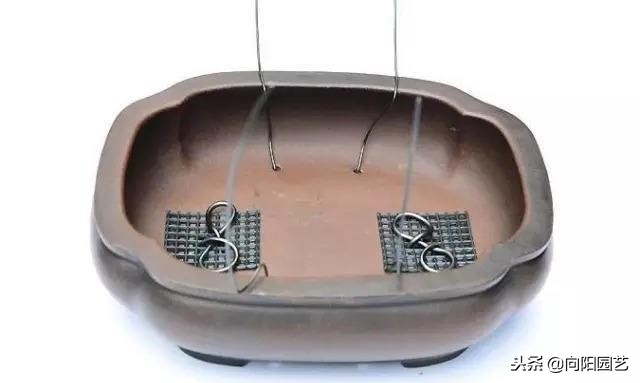 盆景花盆自制,盆景自制教程视频