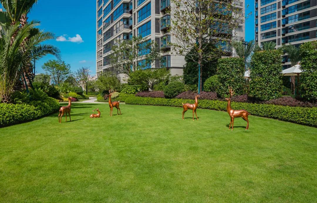 滨江楼盘实景,滨江效果图