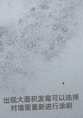 不发霉的墙面涂料,哪种墙面涂料不发霉不褪色