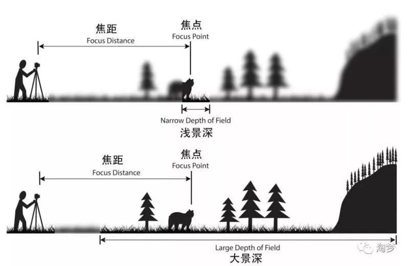 为还是摄影小白的您，每天分享一个摄影小知识,5景深