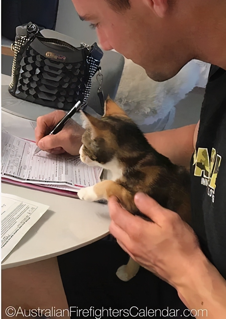 谁说*男猛**和萌猫必须二选一？这次我全都要