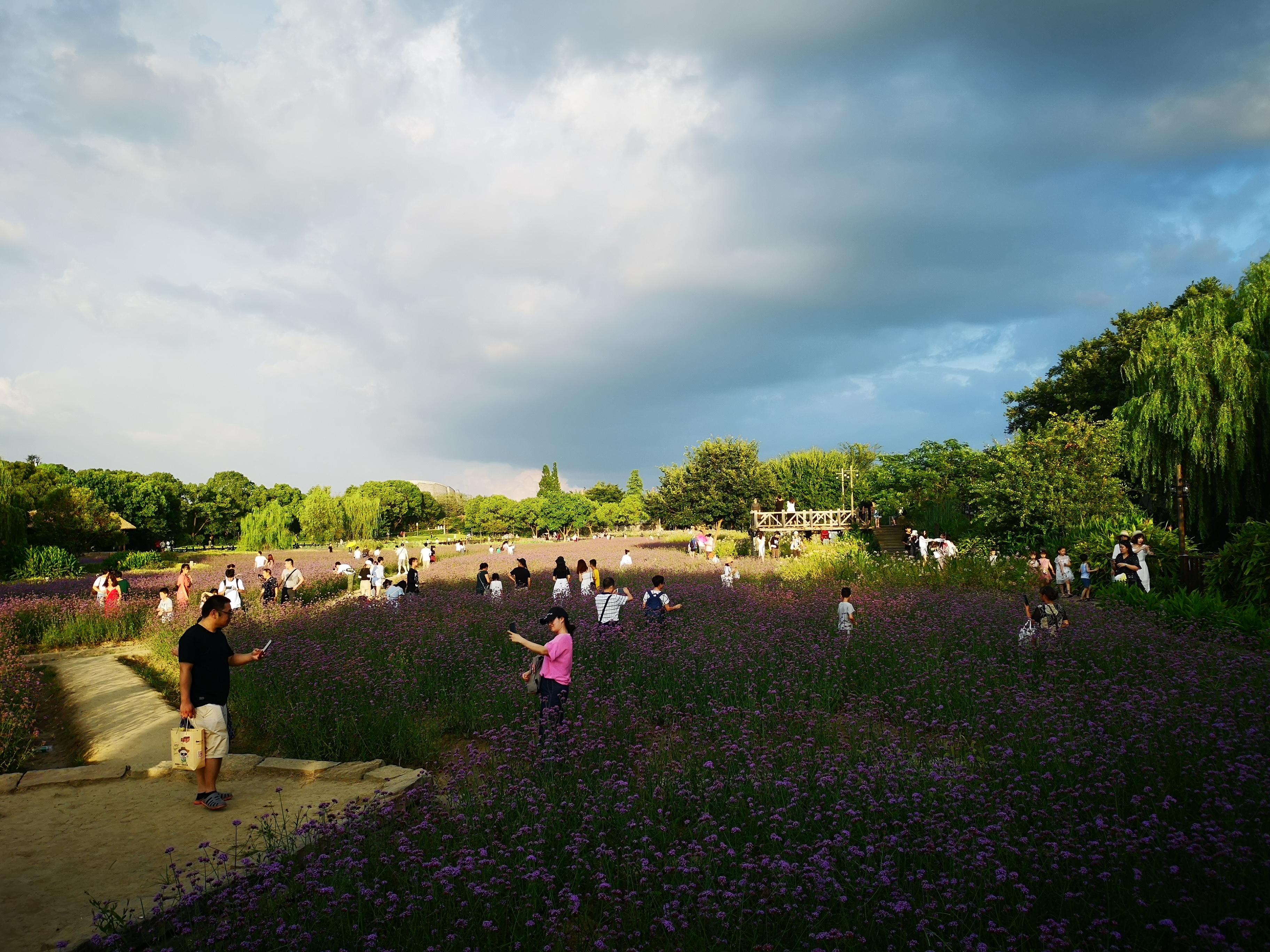 去乌镇旅游有什么攻略,第一次去乌镇
