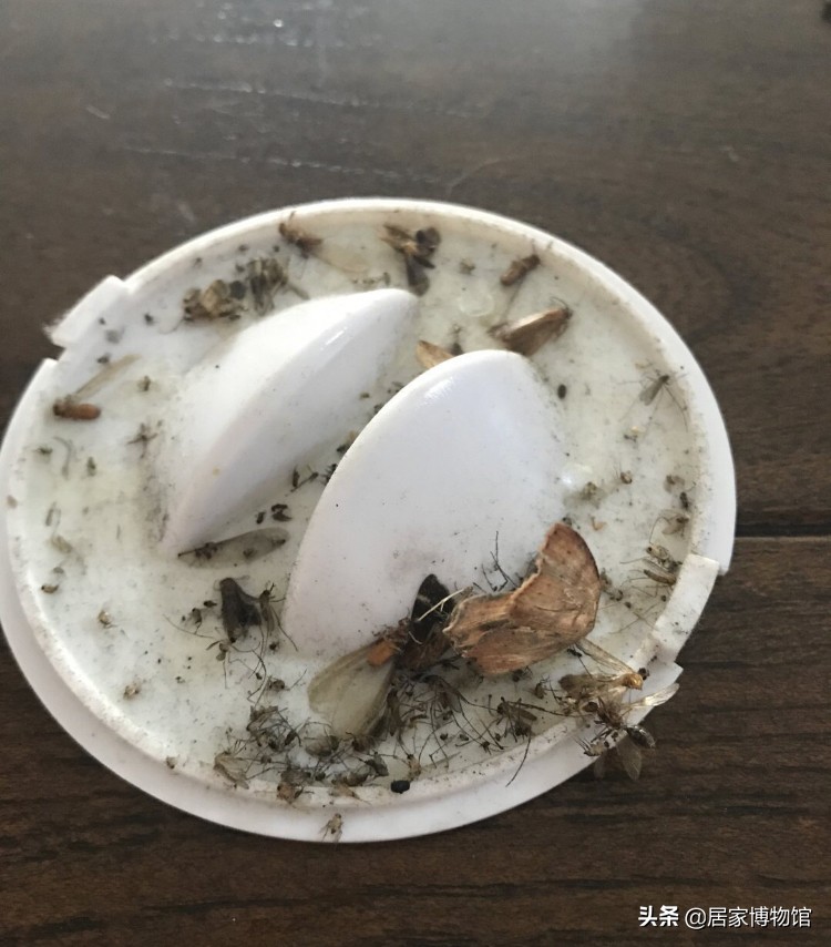 房间驱蚊虫好物推荐,居家好物驱蚊虫