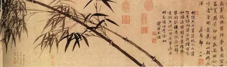 郑板桥画的是什么品种竹子,郑板桥画的横幅竹子