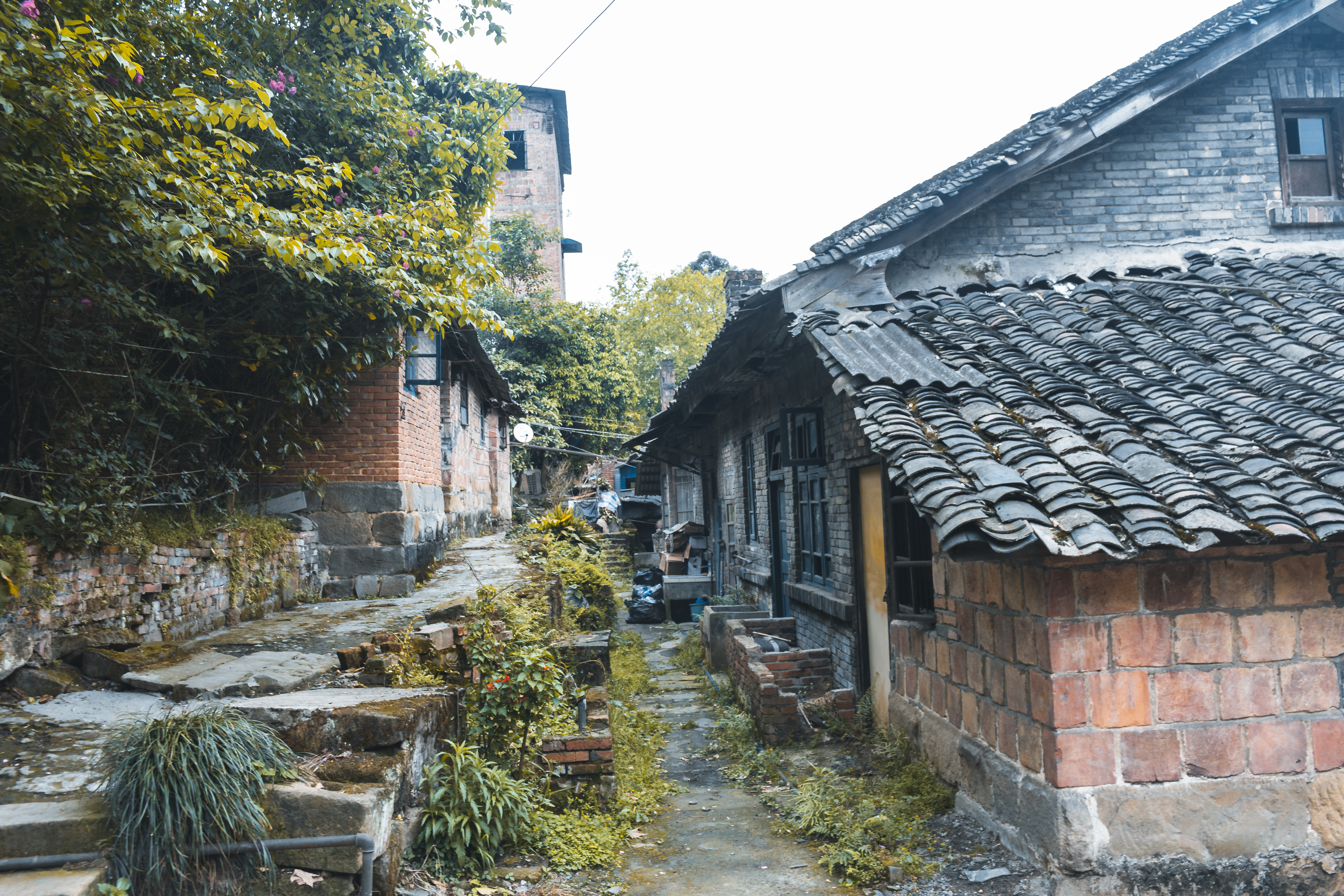 乐山除了大佛和峨眉山还有啥景区,除了峨眉山还有哪些地方