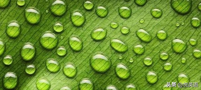 2013至2018年语法填空,2014-2018年语法填空真题汇编