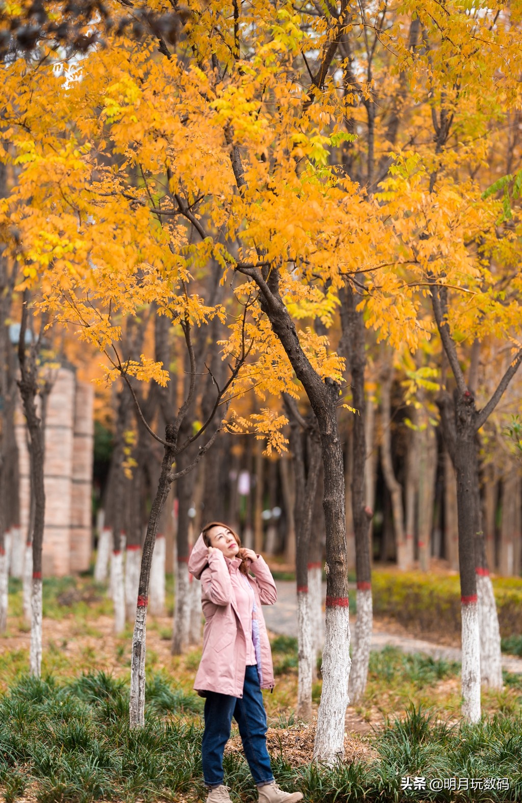 冲锋衣又酷又飒,你不知道的冲锋衣时髦风尚