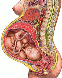 产后42天复查都检查什么挂什么科,42天产后复查必须去生产的医院吗