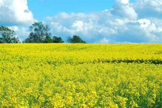 您有一份邀请函请查收,您有一份新的工作请查收