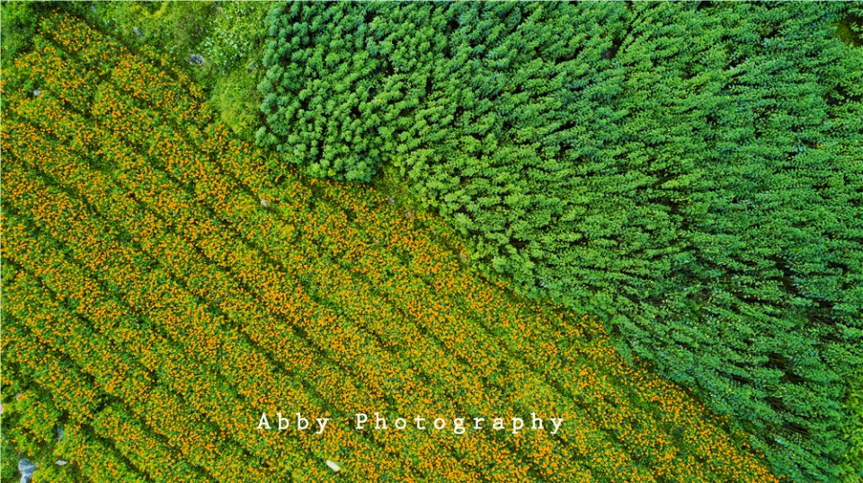 云南旅游攻略昆明丽江,十一小众冷门旅行地推荐云南