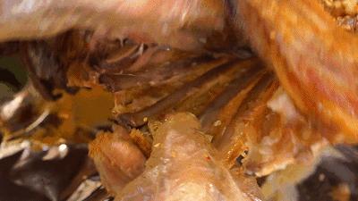 草原正宗烤全羊,长沙大草原烤全羊攻略