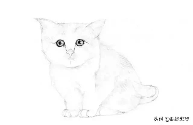 画小花猫简笔画彩色图片,画小花猫素描画