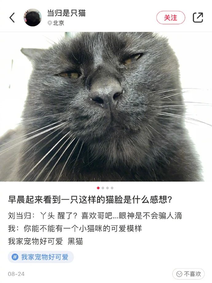 有趣的airpods耳机名称,airpods少一个耳机叫什么名字