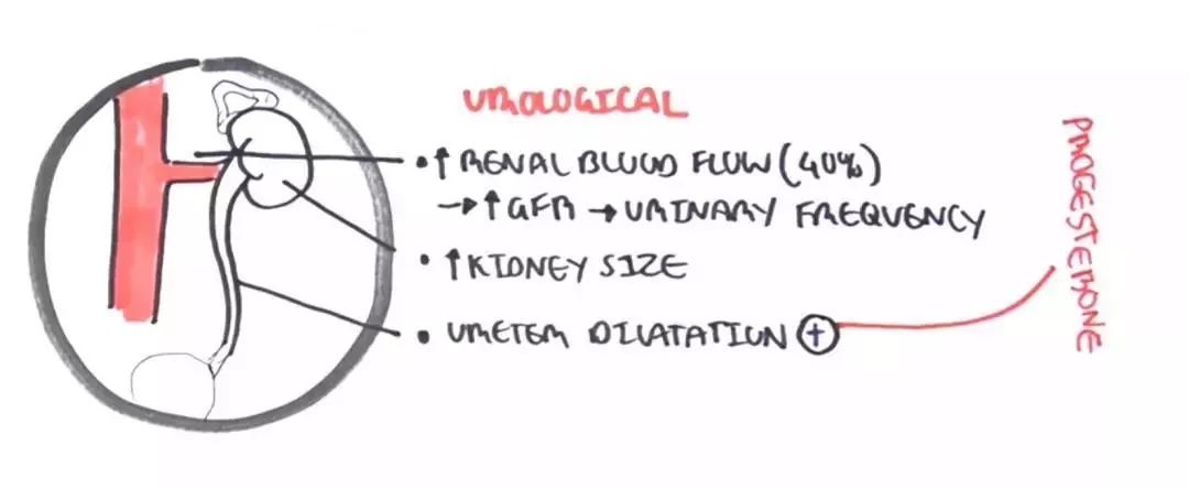 医学知识科普产后康复,开局不可言语最新章节在线阅读