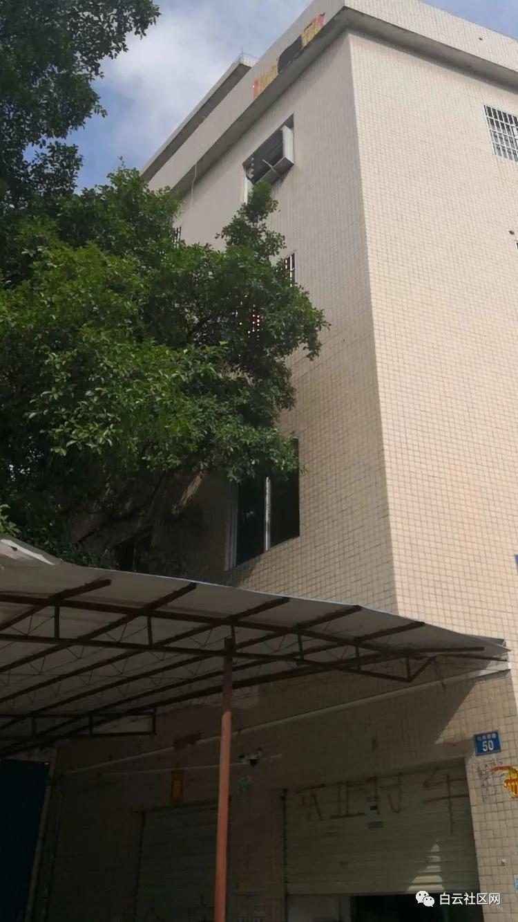 生产销售假冒伪劣化妆品,劣质化妆品窝点