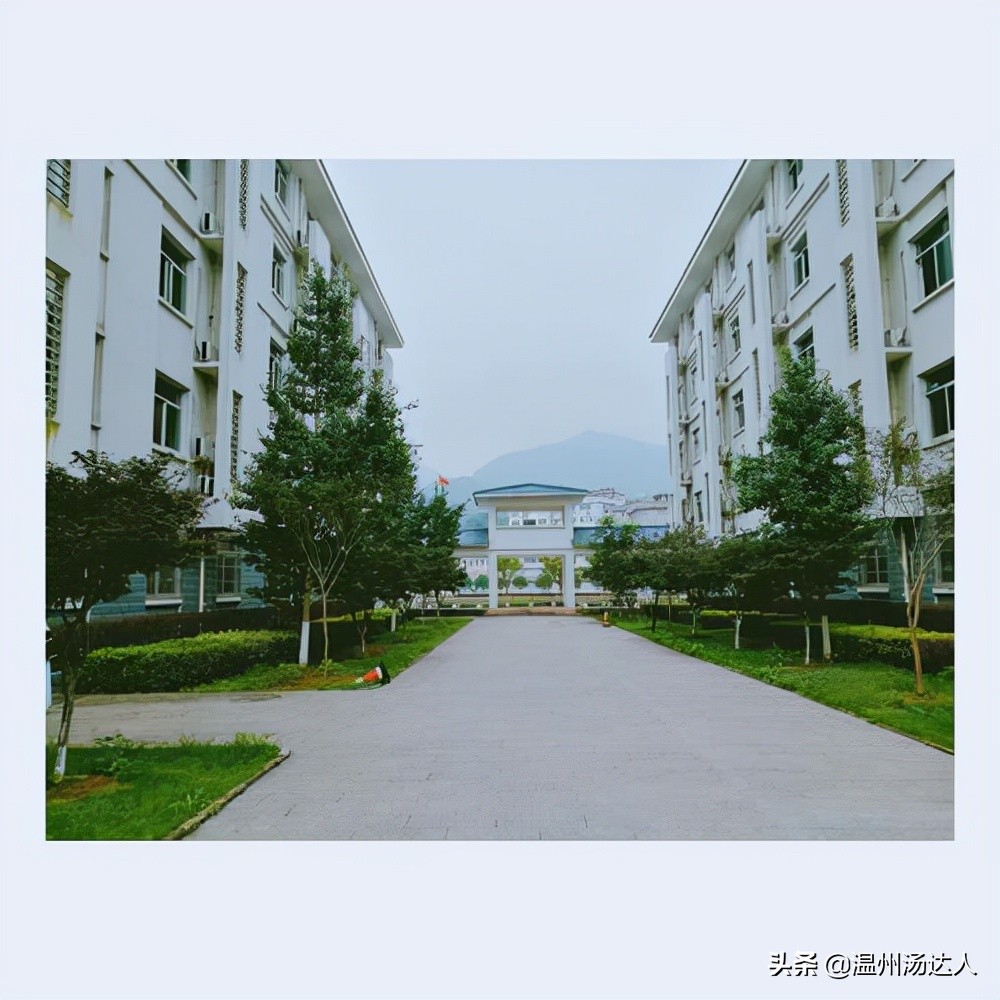 温州最好中学排名一览表,温州沙城初级中学