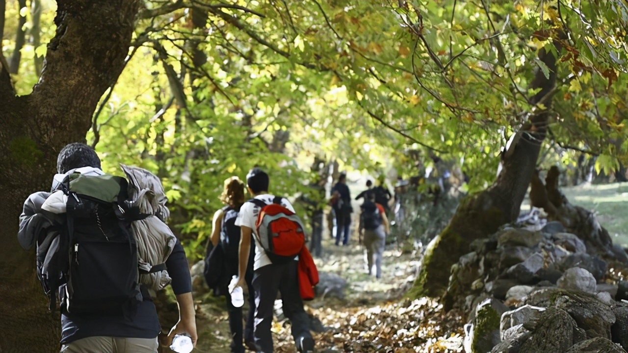 研学旅游市场规模,研学机构如何与酒店合作