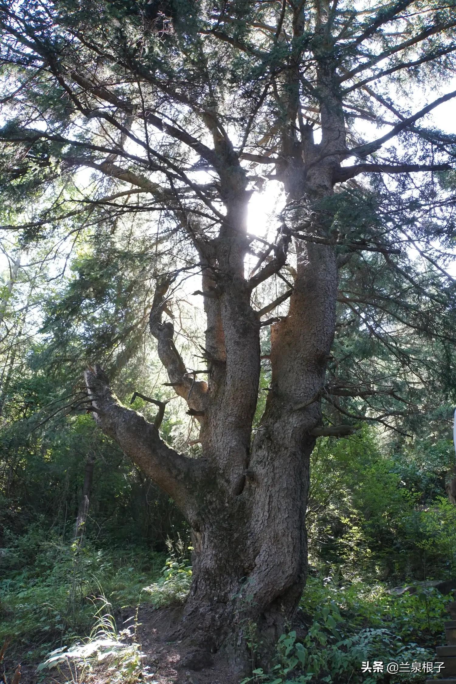 秋日之旅旅游攻略,秋日自驾游视频