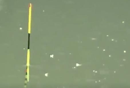 野钓高灵敏度夜光漂,钓友推荐夜光漂