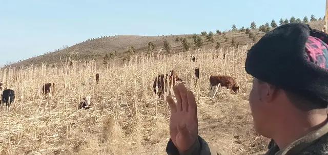 春耕种不下去怎么办,春耕秸秆种不上怎么办