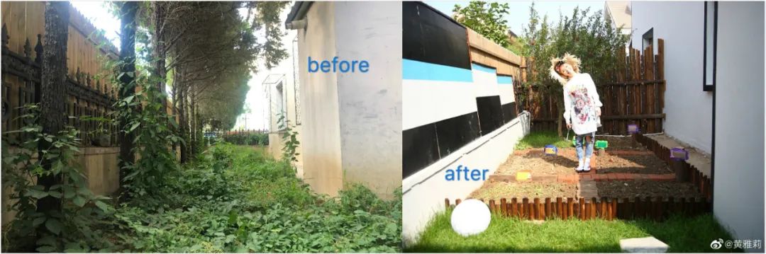 黄雅莉唱哭何炅是哪一期,黄雅莉与何炅的关系