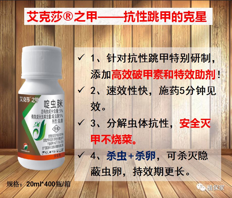 什么时候可以杀跳甲,顽固性跳甲打不死怎么办