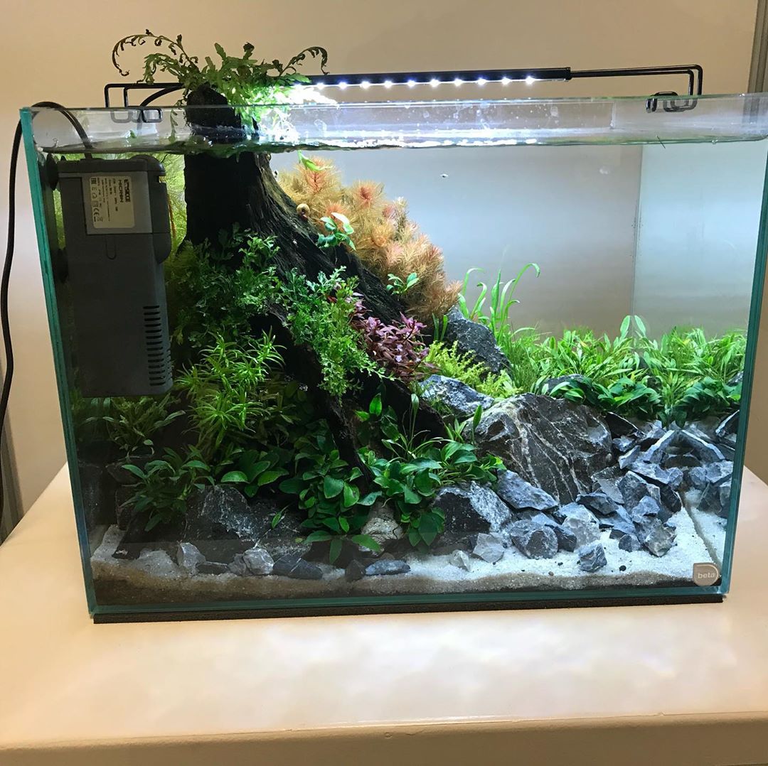 过滤的方法和关注事项,老生常谈的说说