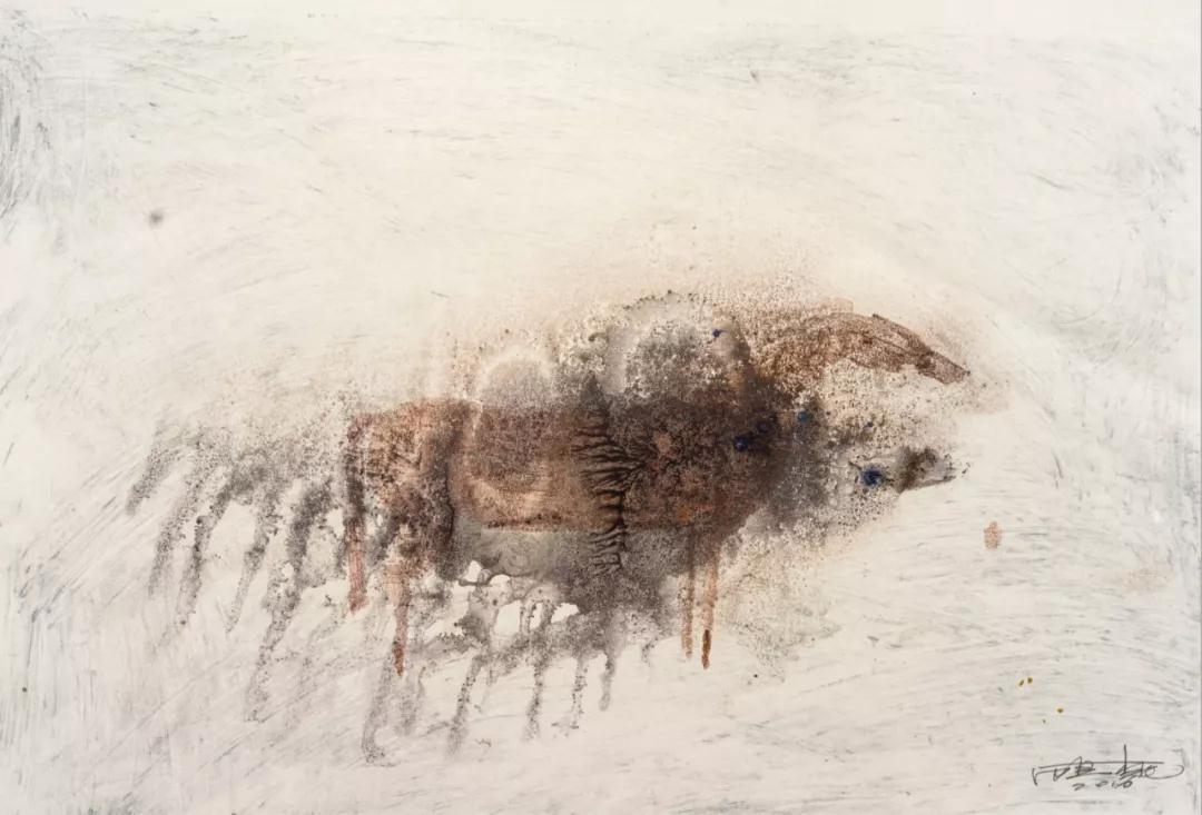 顾桃纪录片猎人,顾桃纪录片完整版去哪看