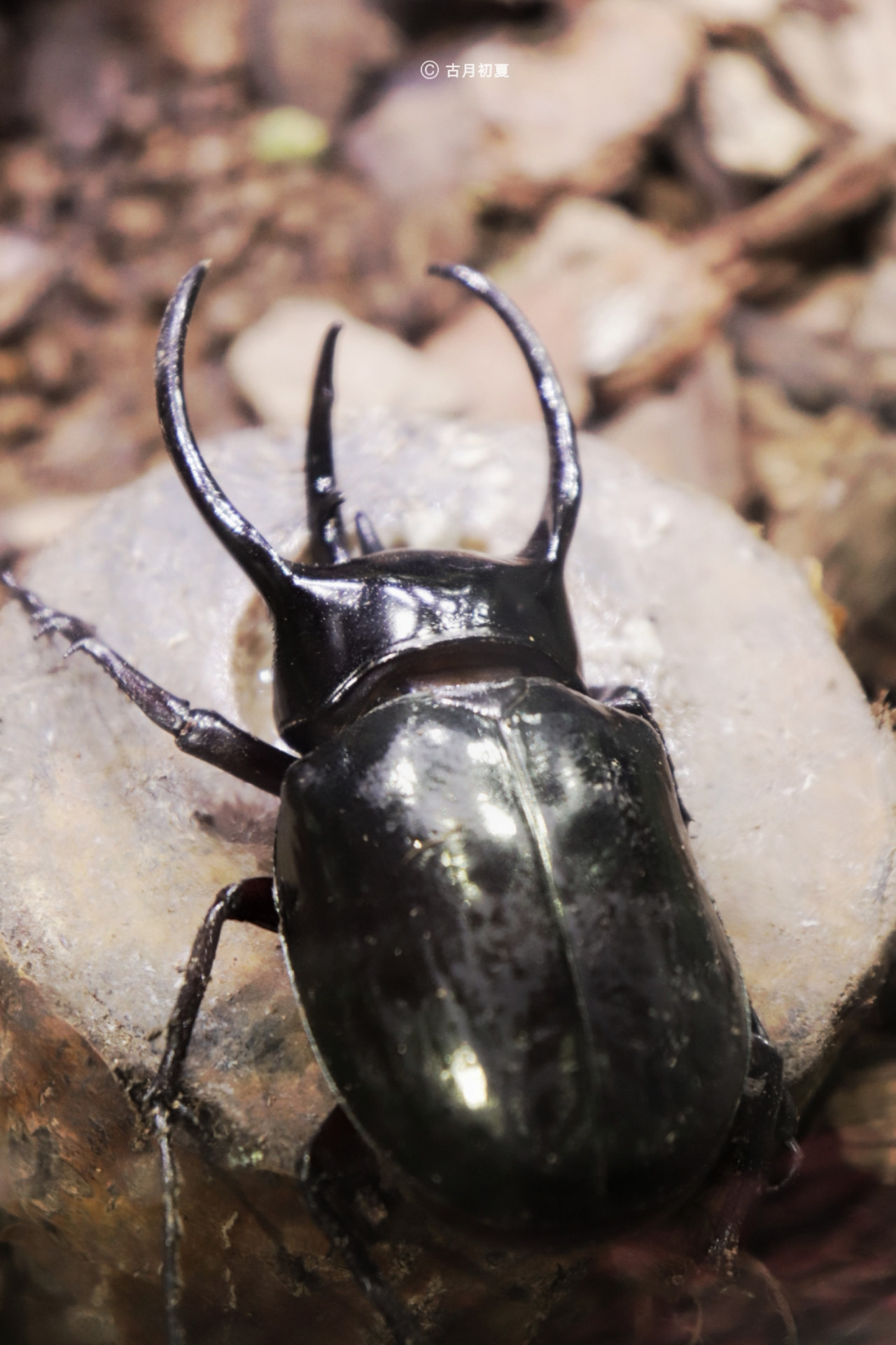 厦门科技馆游玩攻略2-3岁儿童,厦门科技馆每一个馆只能玩一次吗