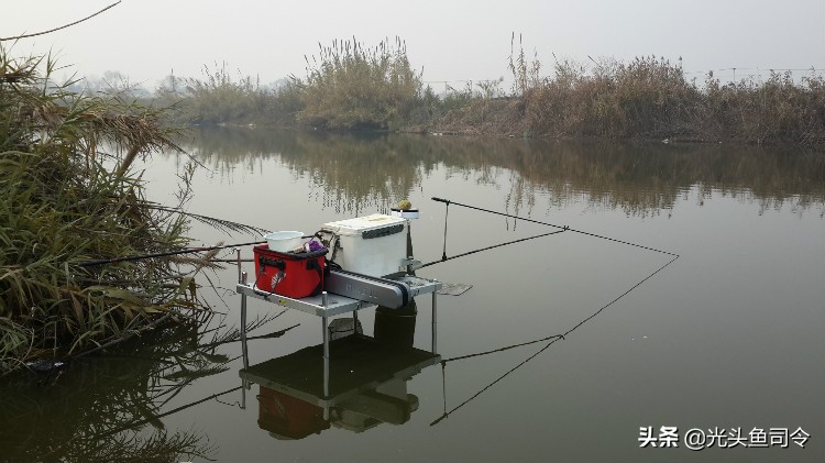 小钓椅适用钓台,野钓钓椅钓箱骑式好还是欧式好用